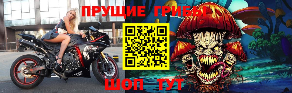 Мценск  Псилоцибиновые грибы Psilocybine cubensis  Вход с VPN 